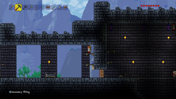 Игра Terraria [PS4, русские субтитры] в Новороссийске