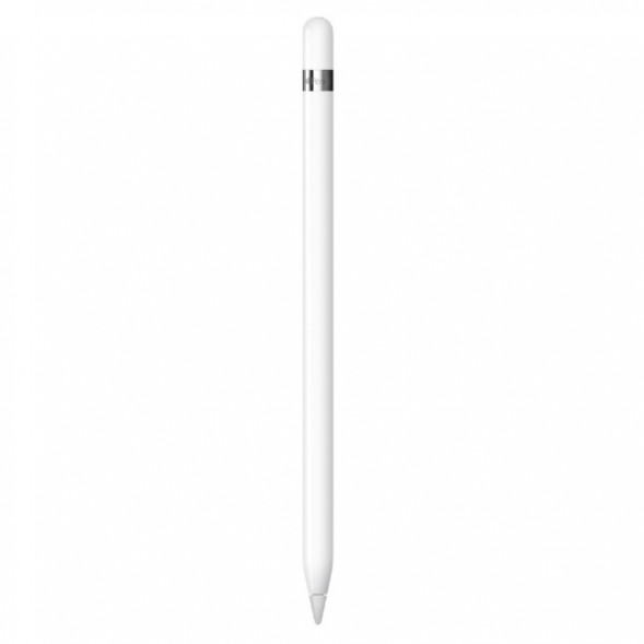 Стилус Apple Pencil (1-го поколения) с USB-C to Apple Pencil адаптером (MQLY3) в Новороссийске