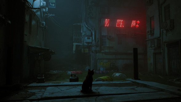 Игра Stray [Nintendo Switch, русские субтитры] в Новороссийске