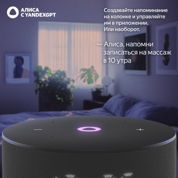 Умная колонка Яндекс Станция Мини 3 c Алисой на YandexGPT, чёрная в Новороссийске
