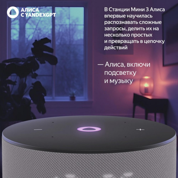 Умная колонка Яндекс Станция Мини 3 c Алисой на YandexGPT, серая в Новороссийске