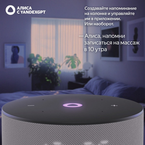 Умная колонка Яндекс Станция Мини 3 c Алисой на YandexGPT, серая в Новороссийске