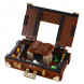 Конструктор LEGO Harry Potter 75952 Чемодан Ньюта Саламандера в Новороссийске