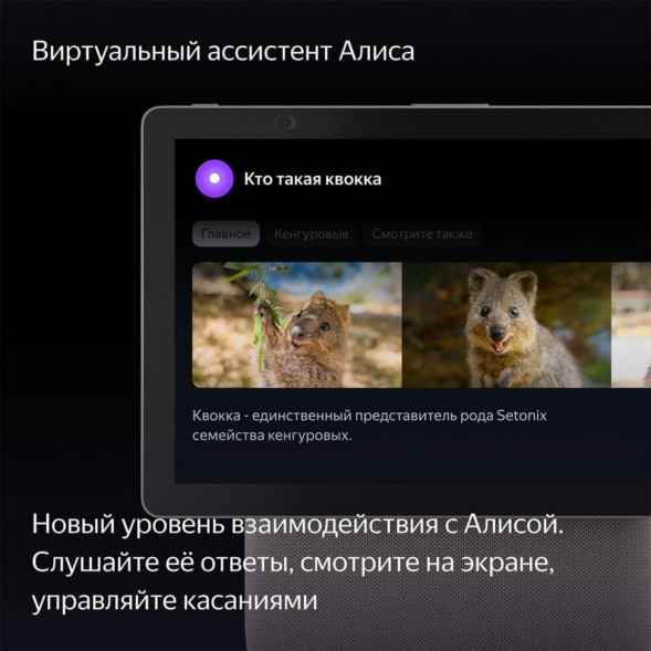 Яндекс Станция Дуо Макс с Алисой, с Zigbee, 60 Вт, бежевый в Новороссийске
