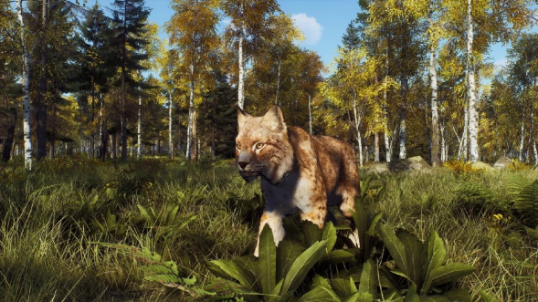 Игра Way of the Hunter: Wild Expeditions [PS5, русские субтитры] в Новороссийске