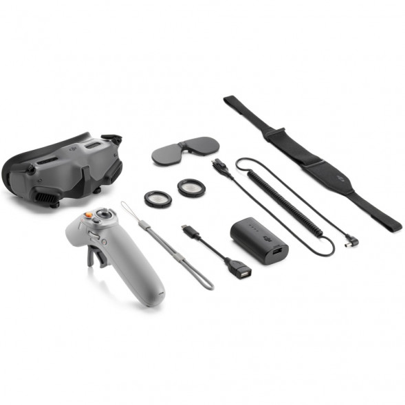 DJI Goggles 2 Motion Combo (DJI RC Motion 2) в Новороссийске