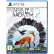 Игра Spirit of the North 2 [PS5, русские субтитры] в Новороссийске