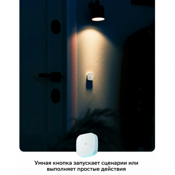 Умная кнопка Sber SBDV-00032 в Новороссийске