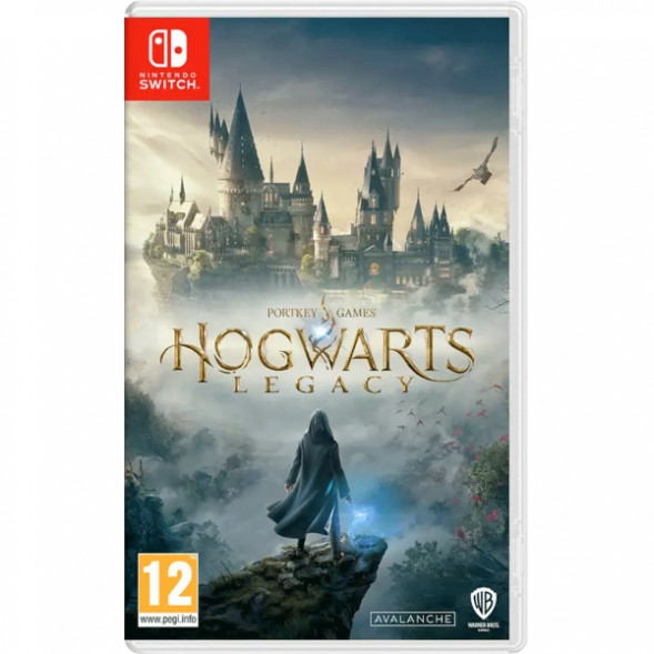 Игра Hogwarts Legacy [Nintendo Switch, русские субтитры] в Новороссийске