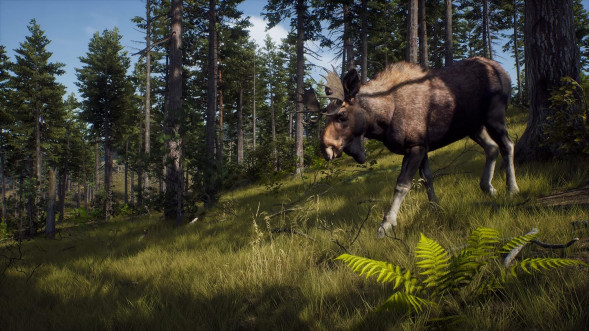 Игра Way of the Hunter [PS5, русские субтитры] в Новороссийске