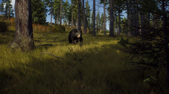 Игра Way of the Hunter [PS5, русские субтитры] в Новороссийске