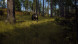 Игра Way of the Hunter [PS5, русские субтитры] в Новороссийске