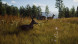 Игра Way of the Hunter [PS5, русские субтитры] в Новороссийске