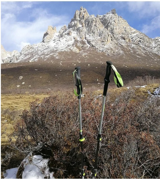 Треккинговая палка Naturehike 135 см, 1шт., серый/зеленый в Новороссийске