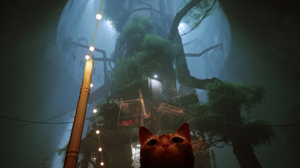 Игра Stray [PS5, русские субтитры] в Новороссийске