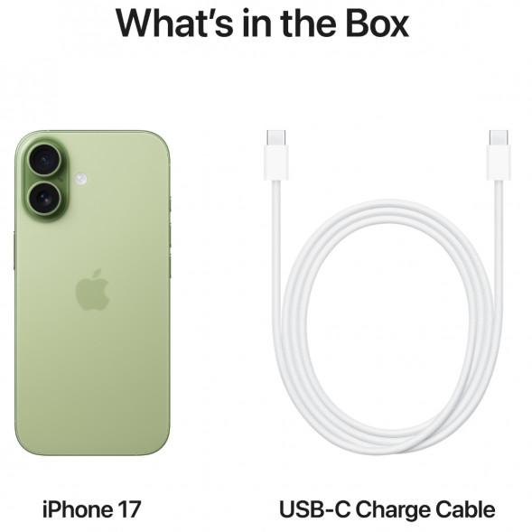 Смартфон Apple iPhone 17 512GB eSim, Sage в Новороссийске