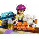 Конструктор LEGO Friends 41099 Скейт-парк в Новороссийске