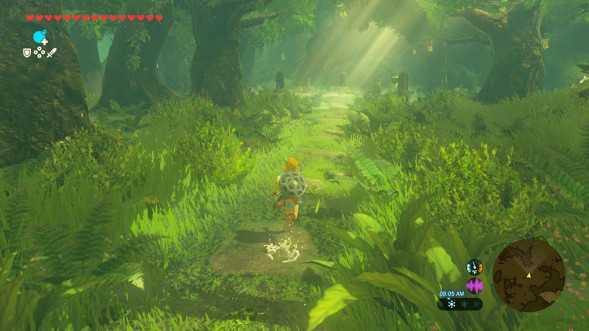 Игра The Legend of Zelda: Breath of the Wild [Nintendo Switch 2, русская версия] в Новороссийске