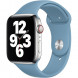Ремешок для Apple Watch 40mm Northern Blue Sport Band (MYD02ZM/A), скандинавский синий в Новороссийске