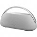 Портативная акустика Harman/Kardon Go + Play 3, серый в Новороссийске