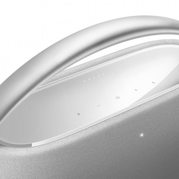 Портативная акустика Harman/Kardon Go + Play 3, серый в Новороссийске