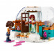 Конструктор LEGO Friends 41760 Праздничное приключение в иглу в Новороссийске