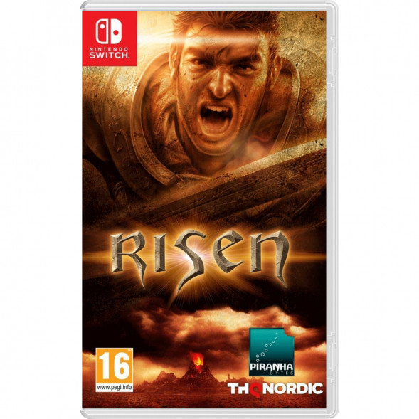 Игра Risen [Nintendo Switch, русская версия] в Новороссийске