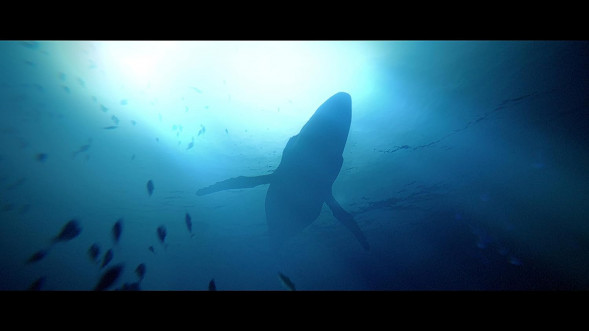 Игра Under The Waves [PS4, русские субтитры] в Новороссийске