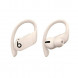 Беспроводные наушники Beats Powerbeats Pro, Ivory (MY5D2ZM/A) в Новороссийске