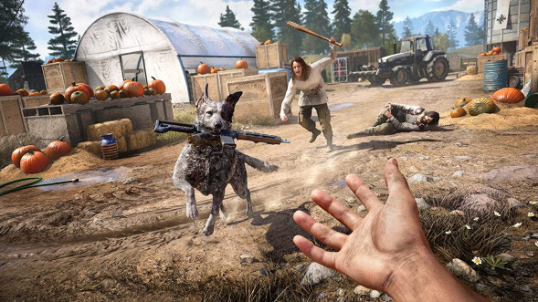 Игра Far Cry 5 [PS4, русская версия] в Новороссийске