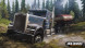 Игра Spintires: MudRunner American Wilds [Nintendo Switch, русские субтитры] в Новороссийске